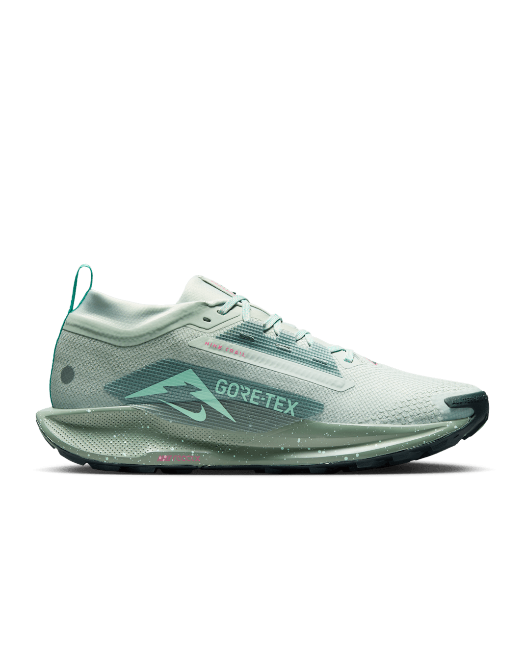 Nike Pegasus Trail 5 GORE-TEX